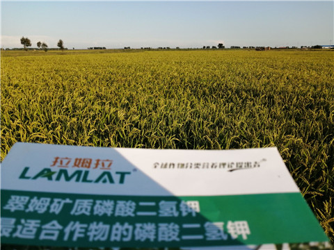 葉面肥，磷酸二氫鉀