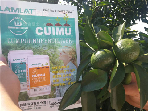 菌劑，水溶肥，