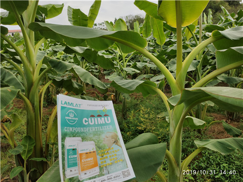 葉面肥，微生物菌劑，硼肥，水溶肥