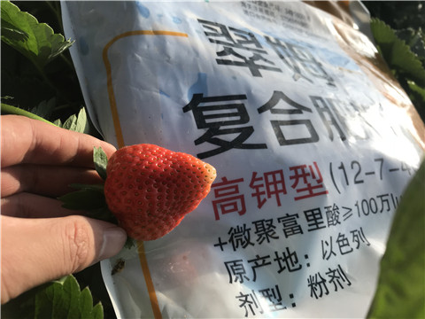 水溶，拉姆拉，翠姆