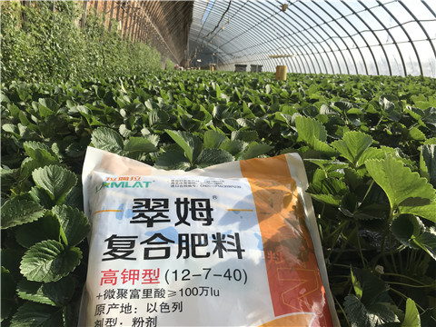 水溶，拉姆拉，翠姆