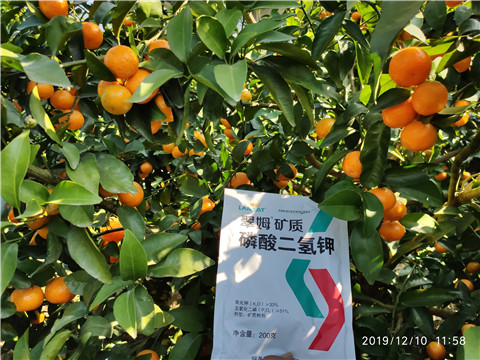 水溶肥，磷酸二氫鉀