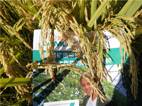 水溶肥，磷酸二氫鉀，