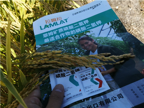 水溶肥，磷酸二氫鉀，