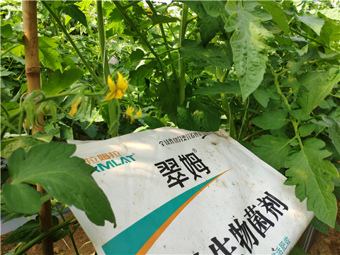 微生物菌劑，