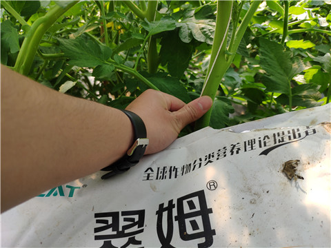 微生物菌劑，