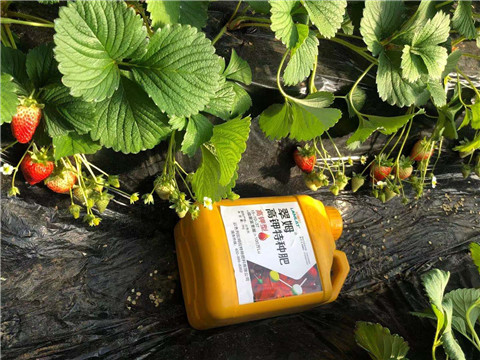 水溶肥，拉姆拉