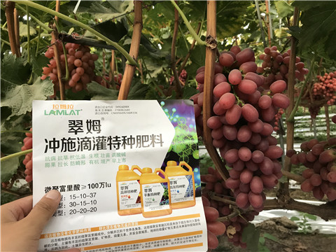 沖施肥，拉姆拉