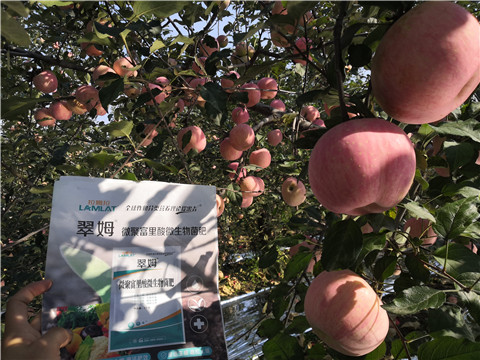 水溶肥，磷酸二氫鉀，微生物菌劑