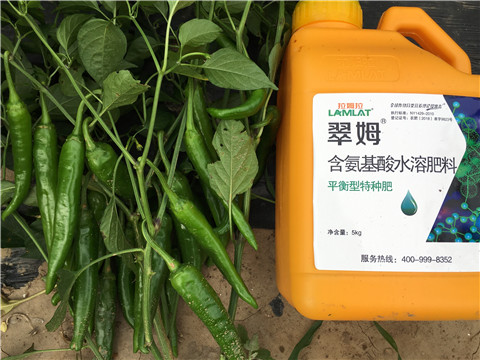 根碧多，微生物菌，葉面肥