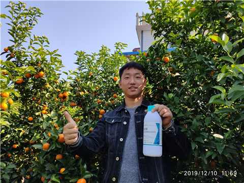 硼肥，拉姆拉