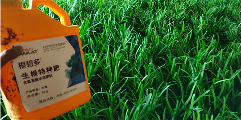 根碧多，拉姆拉