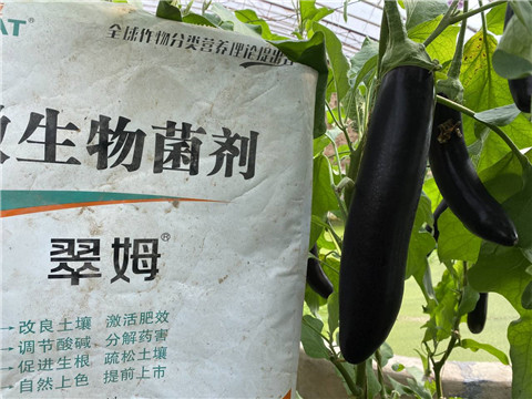 微生物菌劑，拉姆拉