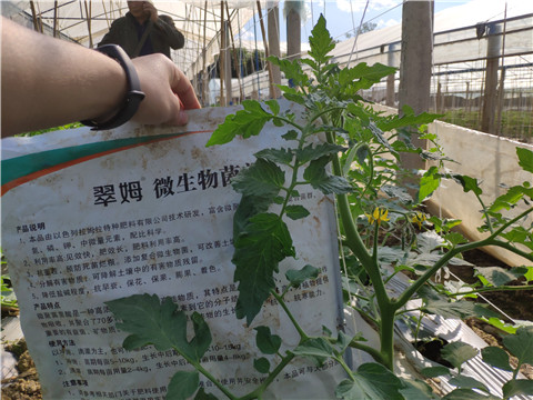 微生物菌劑 ，拉姆拉翠姆