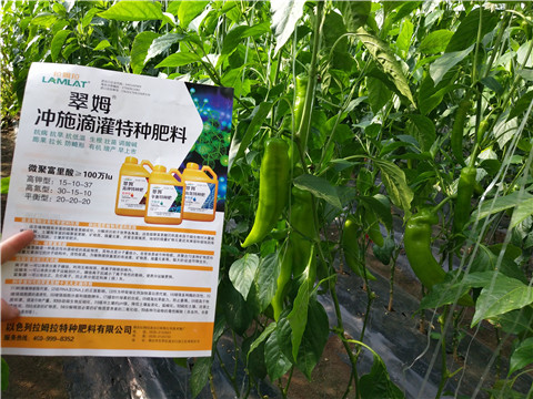 水溶肥，拉姆拉