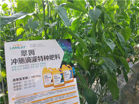 水溶肥，拉姆拉