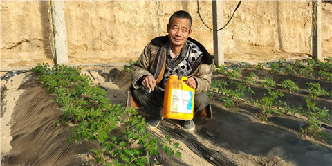 生根劑，拉姆拉