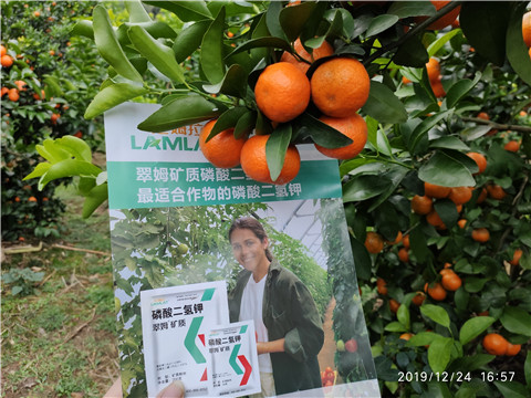 磷酸二氫鉀，葉面肥