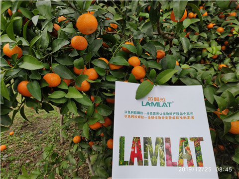 水溶肥，根碧多