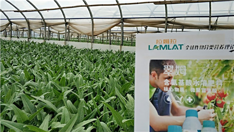 葉面肥，磷酸二氫鉀