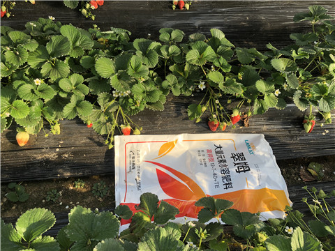 水溶肥，葉面肥，根碧多