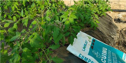 磷酸二氫鉀，鈣肥，水溶肥