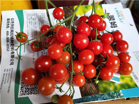 磷酸二氫鉀，鈣肥，根碧多