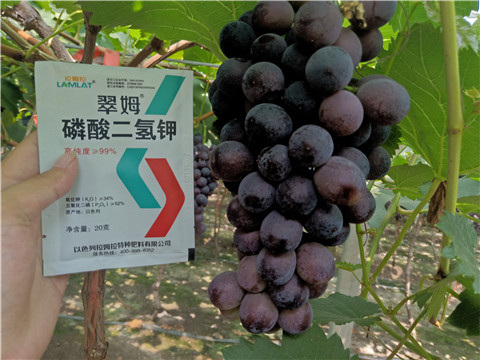 磷酸二氫鉀，葉面肥