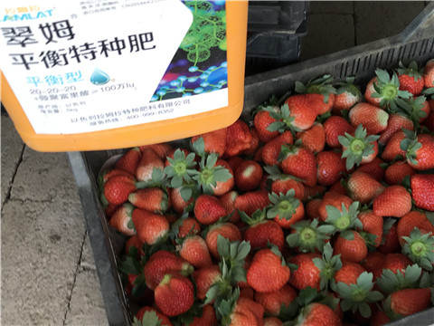 沖施肥，磷酸二氫鉀