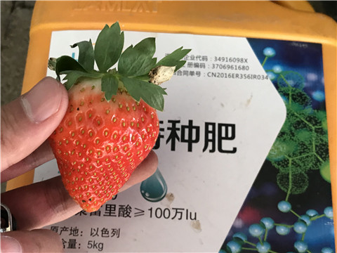 沖施肥，磷酸二氫鉀