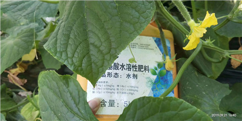 水溶肥，翠姆