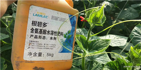 水溶肥，翠姆