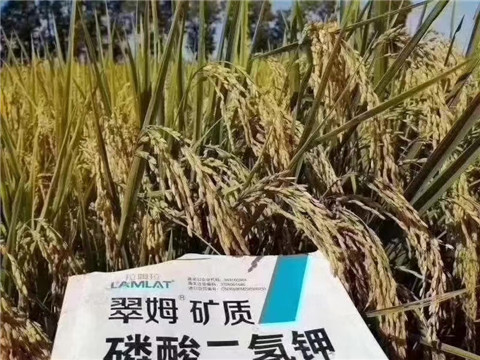 磷酸二氫鉀，翠姆