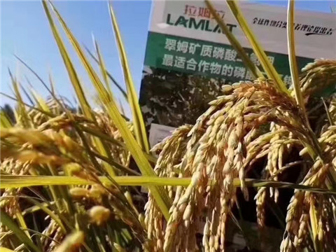 磷酸二氫鉀，翠姆