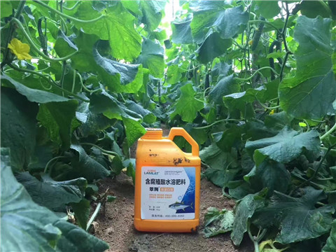 水溶肥，翠姆