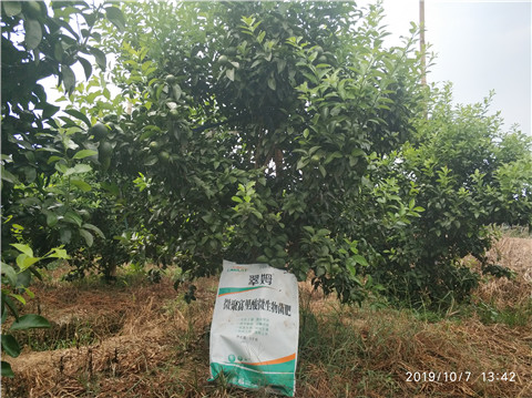 微生物菌劑，拉姆拉