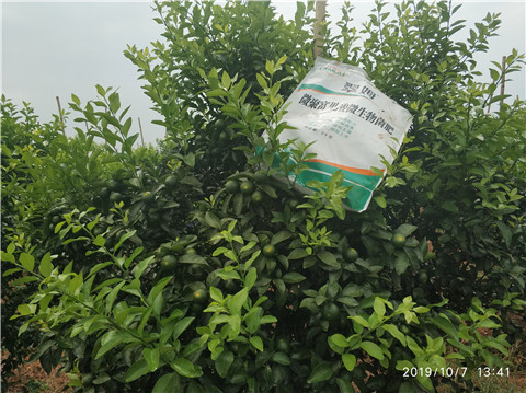 微生物菌劑，拉姆拉