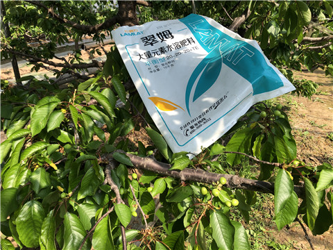 大量元素水溶肥，磷酸二氫鉀，硼肥