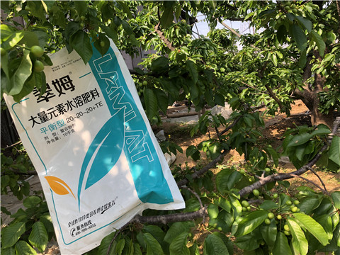 大量元素水溶肥，磷酸二氫鉀，硼肥