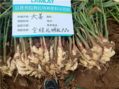 水溶肥，微生物菌劑，拉姆拉