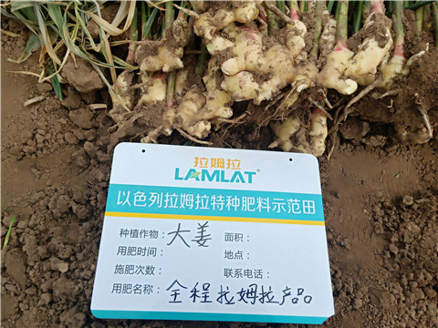 水溶肥，微生物菌劑，拉姆拉