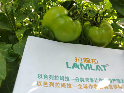 微生物菌劑，拉姆拉，伯示麥