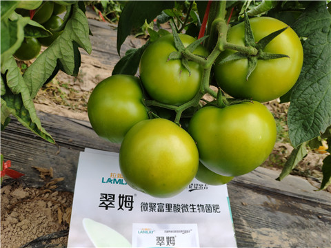 葉面肥，微生物菌劑，磷酸二氫鉀