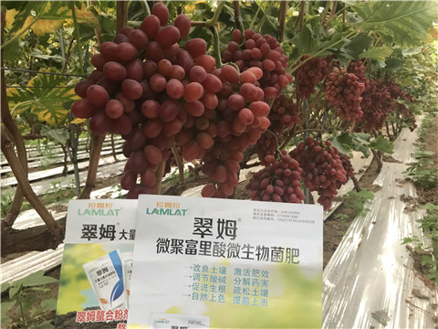 微生物菌劑，硼肥，鈣肥