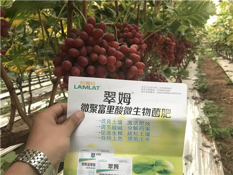 微生物菌劑，硼肥，鈣肥