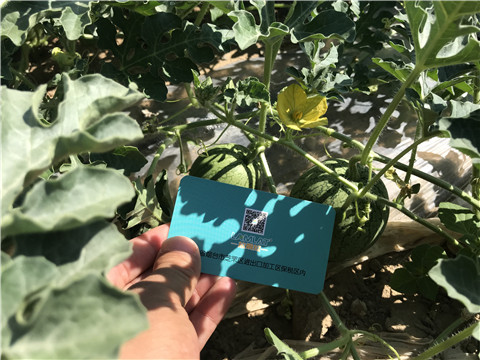 微生物菌劑，磷酸二氫鉀