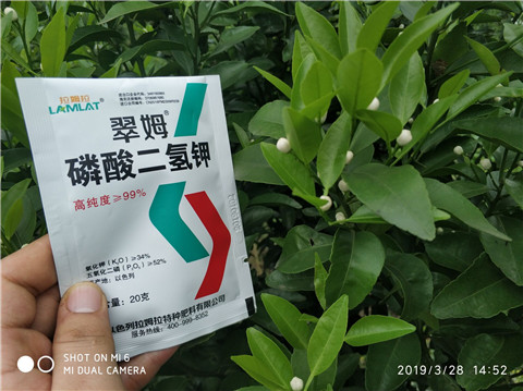 磷酸二氫鉀，硼肥，拉姆拉