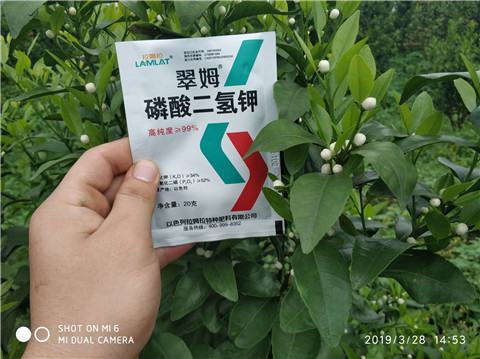 磷酸二氫鉀，硼肥，拉姆拉