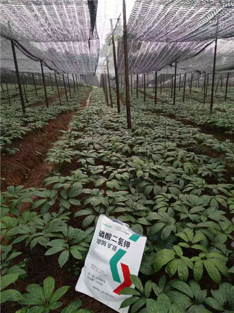 磷酸二氫鉀，安碧解，