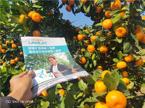 磷酸二氫鉀，硼肥，拉姆拉